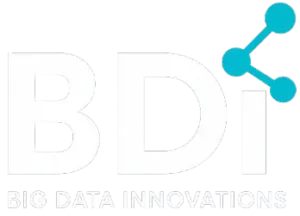 Big Data Innovations Company Logo